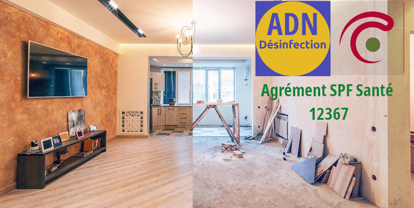renovation appartement belgique allomouss desinfection